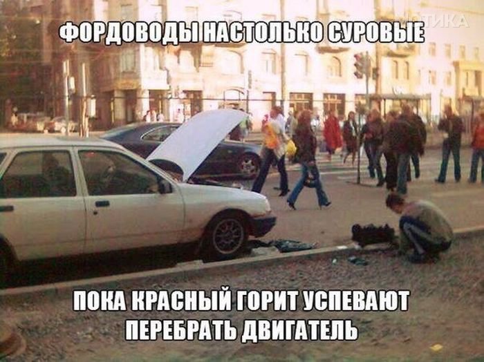 avto (41)