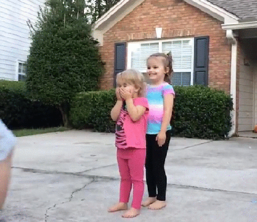 gif (2)