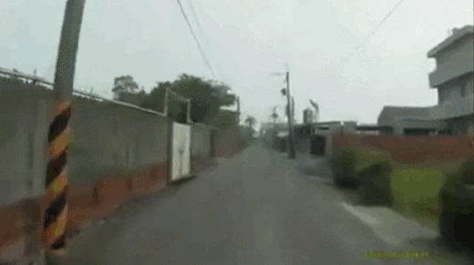 gif (11)