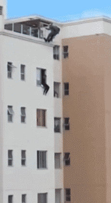 gif (29)