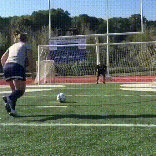 gif (6)