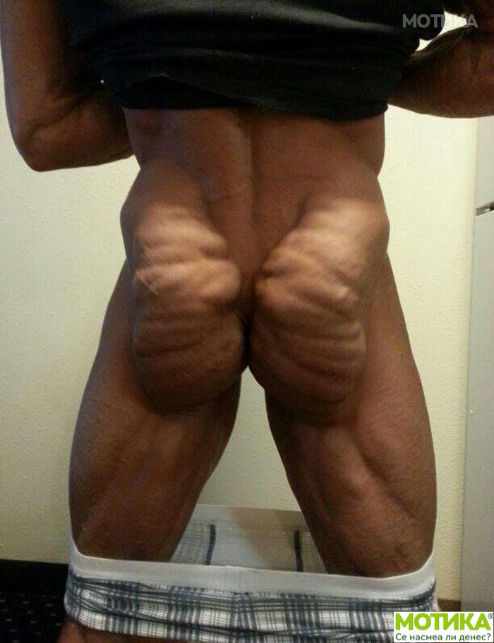 alter (40)