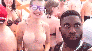 gif (4)