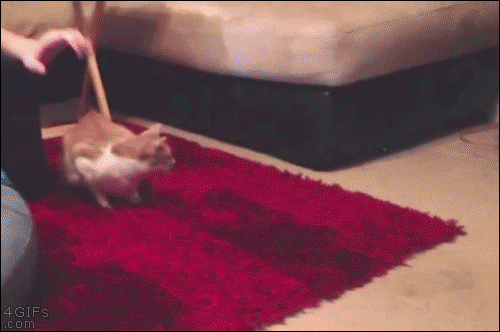 gifs_02