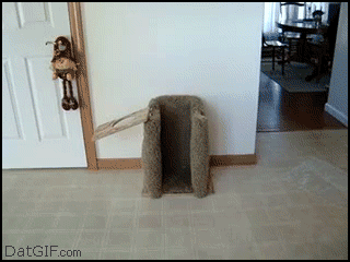 gifs_03