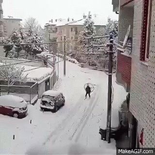 gifs_13