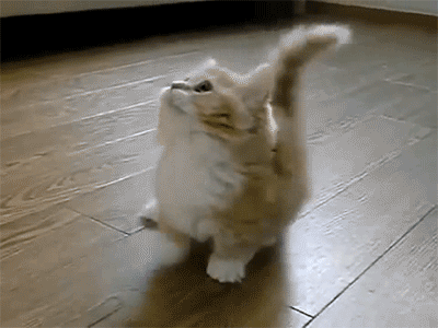 gifs_18