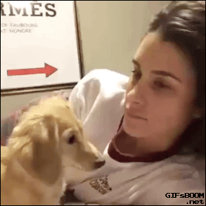 gifs_19