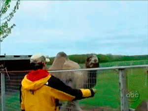 gifs_20