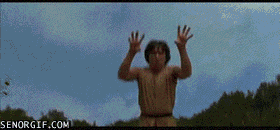 gif (17)