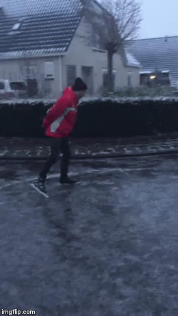 gif (8)