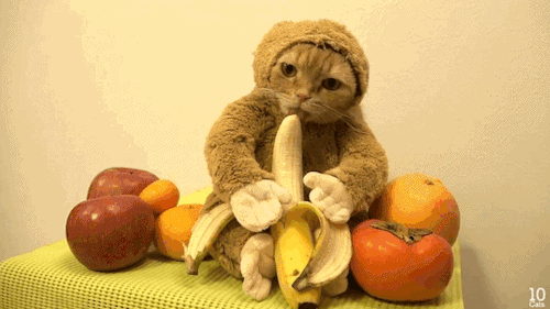 gif (2)