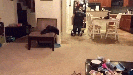 gif (24)