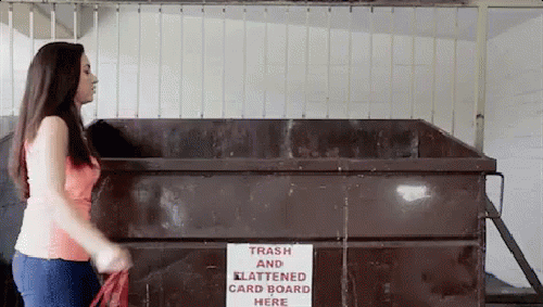 gif (1)
