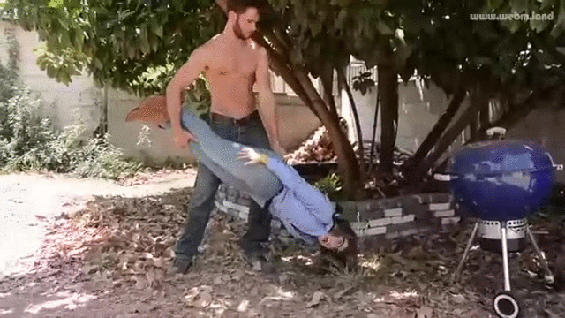 gif (25)