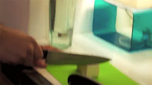 gif (4)