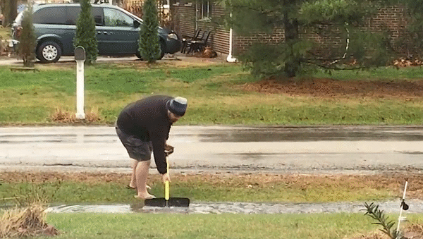 gif (2)