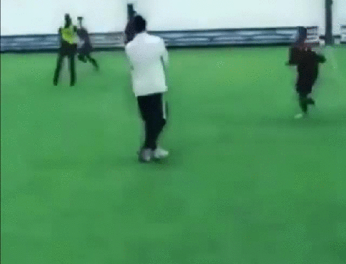 gif (26)