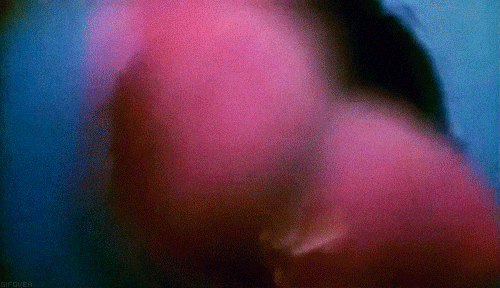 gif (15)