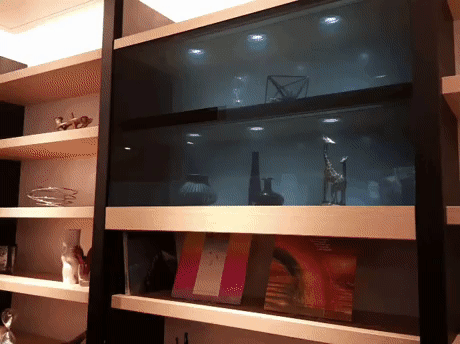 gif (4)