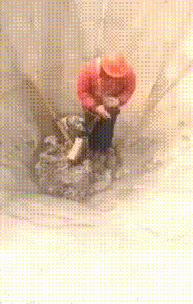 gif (5)
