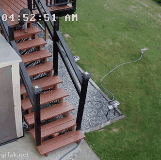 gif (6)