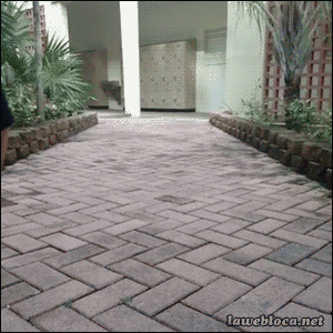 gif (7)