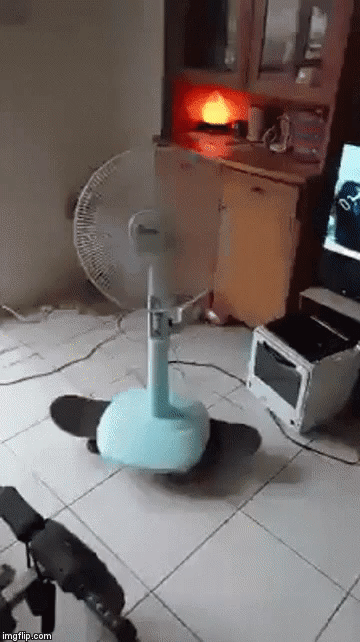 gif (9)