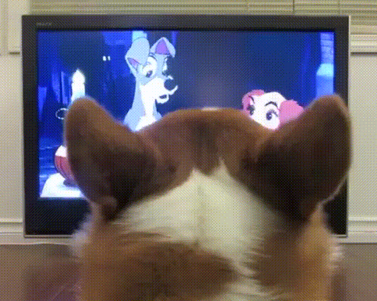 gif (10)