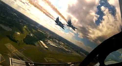 gif (2)