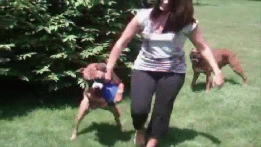 gif (7)