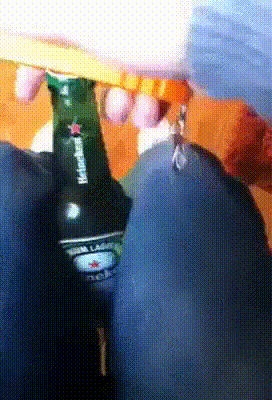 gif (16)