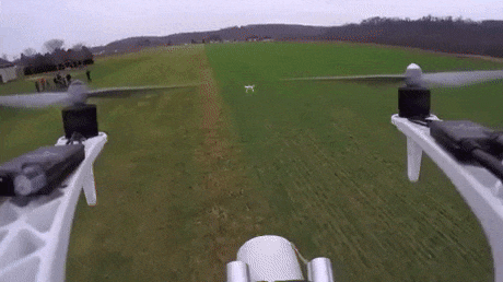 gif (5)