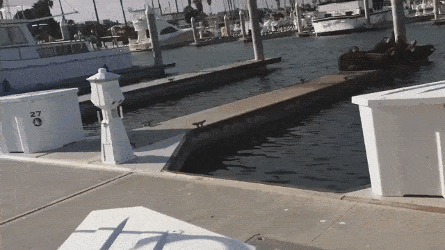 gif (6)