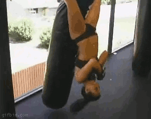 gif (9)
