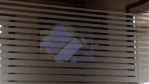 gif (10)