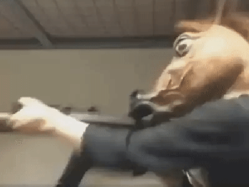 gif (16)