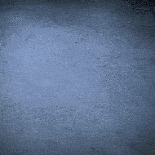 gif (2)