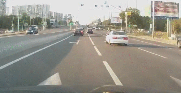 gif (25)