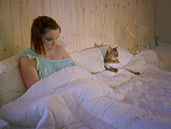 gif (1)
