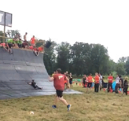 gif (14)