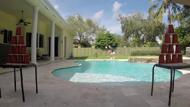 gif (24)