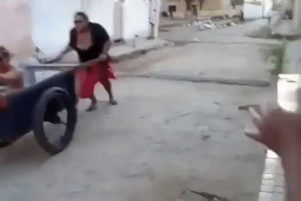 gif (8)