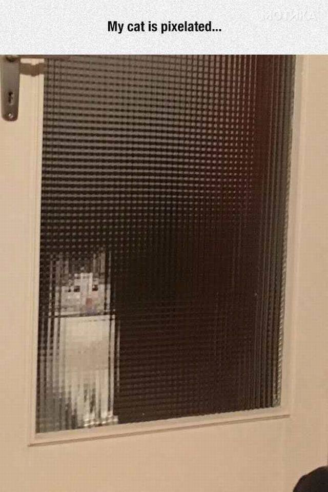 nes (93)