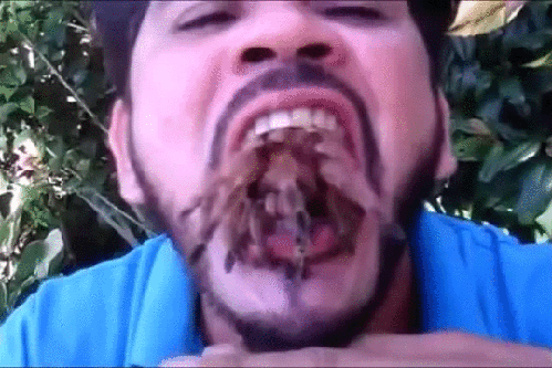 gif (1)