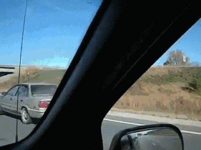 gif (30)