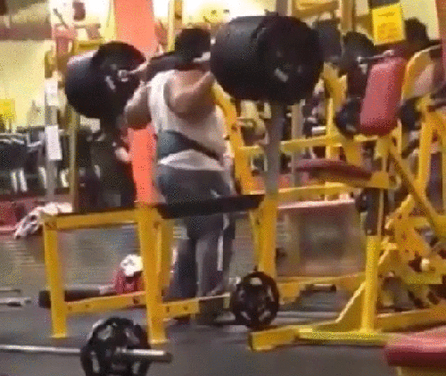 gif (3)