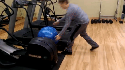 gif (6)