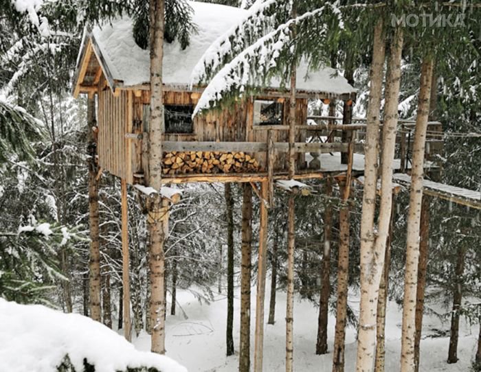 tree_house_01