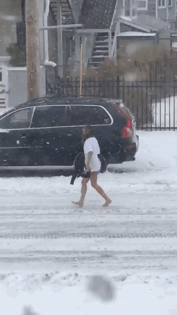 gif (29)
